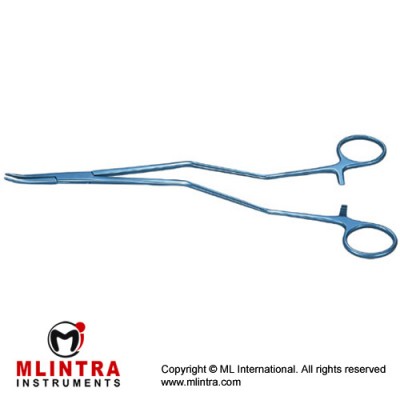 Carpentier Papillary Muscle 17cm,24cm,27cm